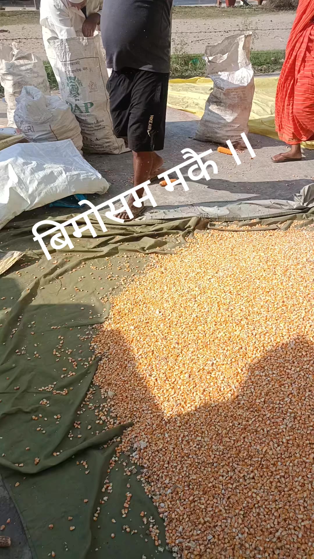 @Madhavi Bhatta