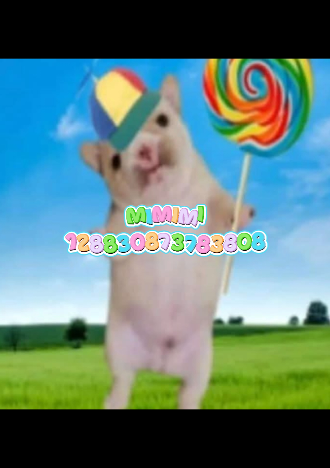 @sugar