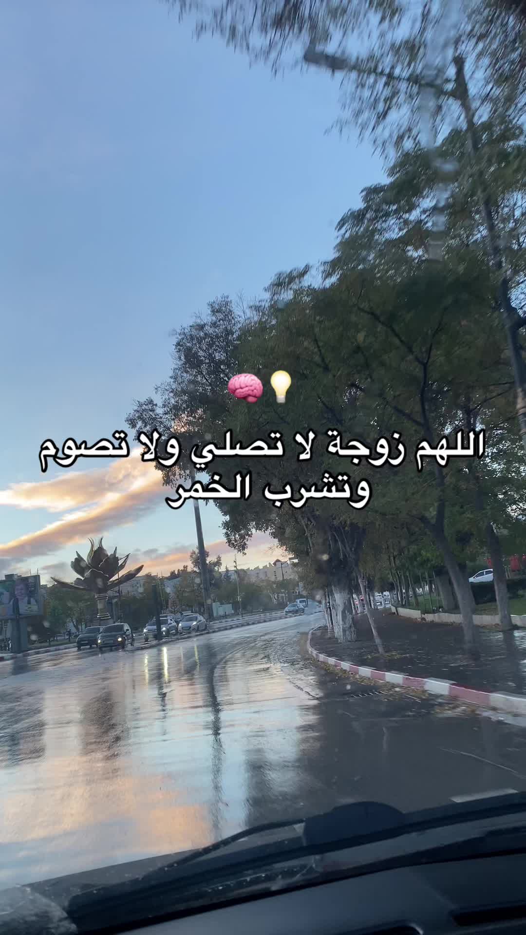 @❤️tajo Achour❤️