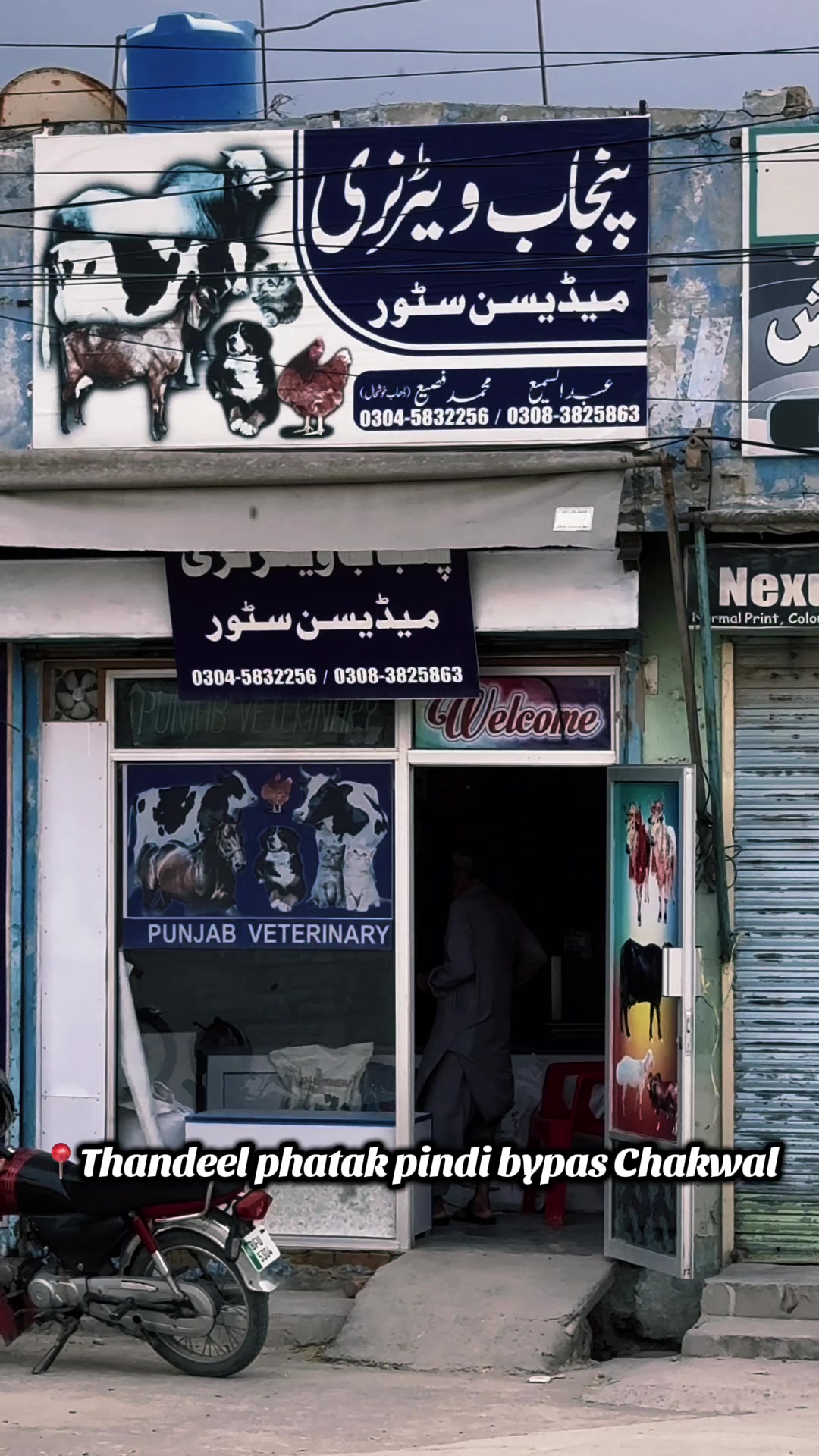 @Punjab Pet Store Chakwal