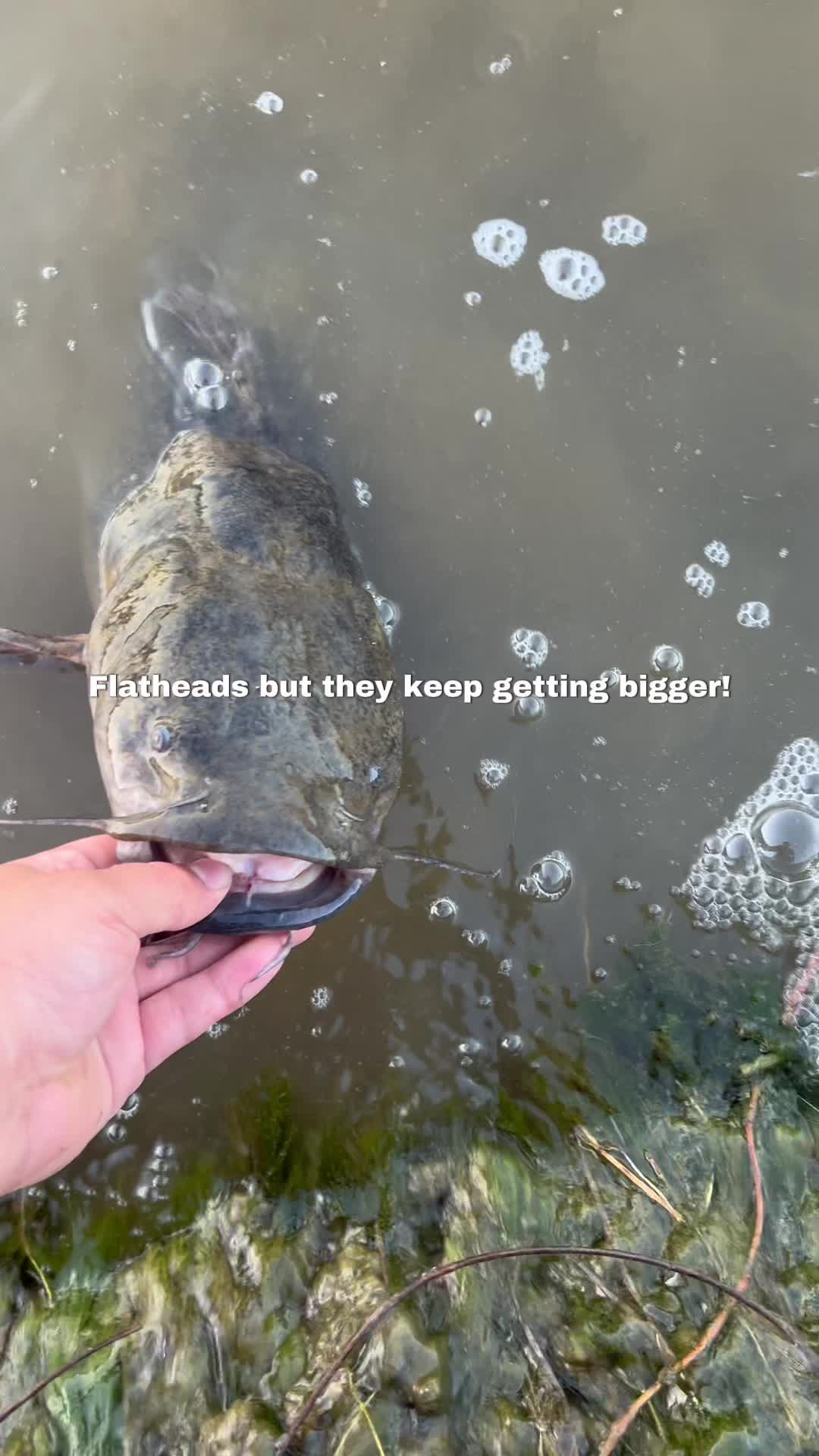 @RiverRat.fwtx🎣