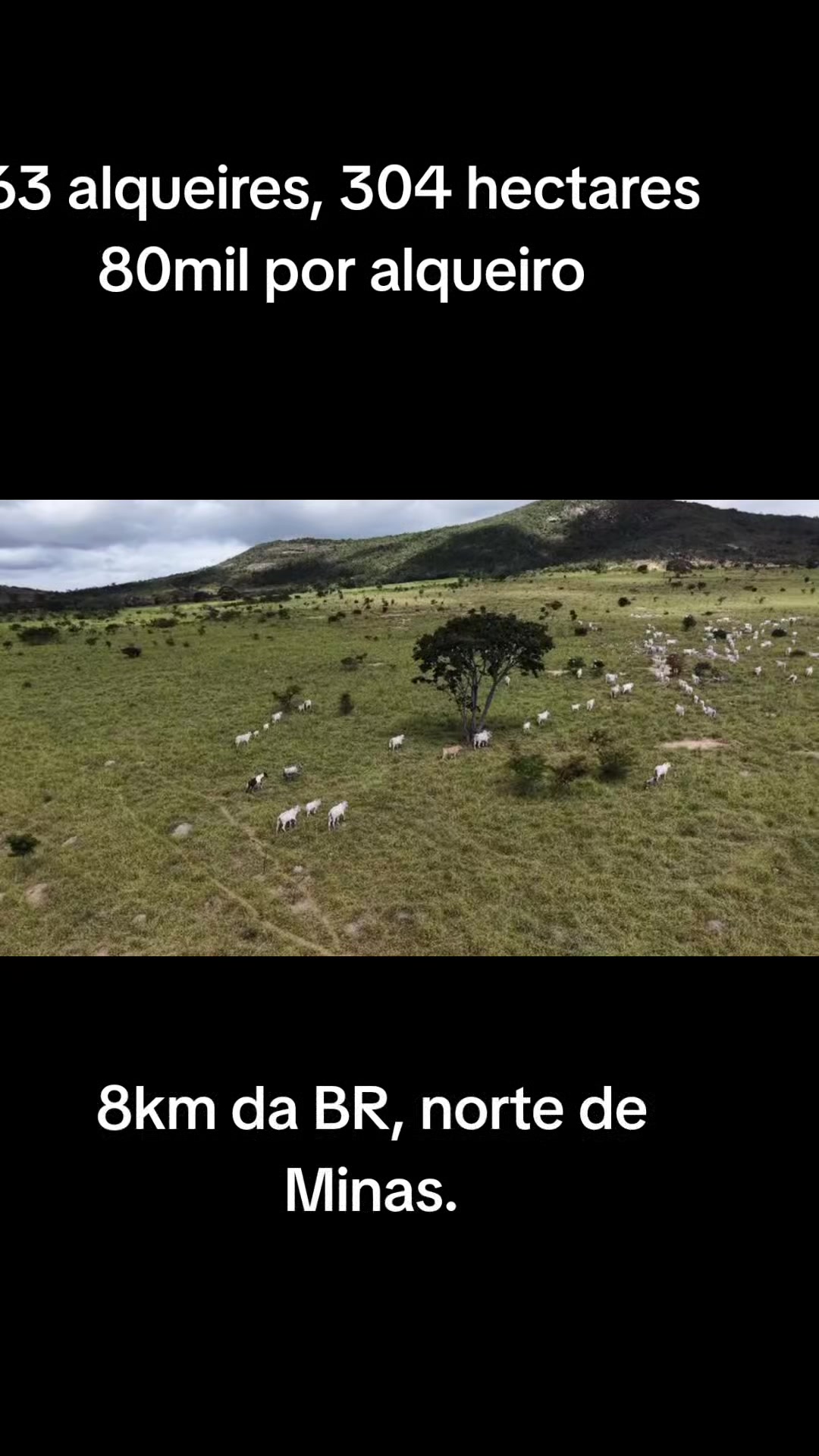 @O REI DAS FAZENDAS.