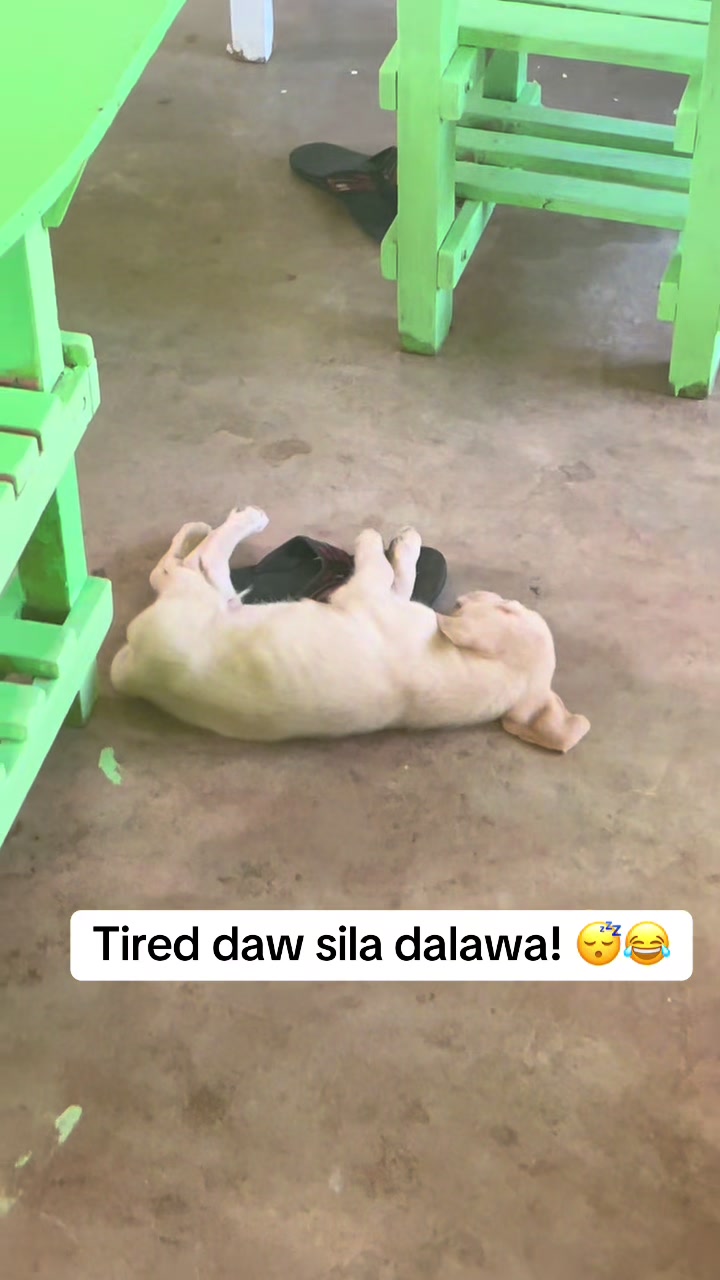 @Warace