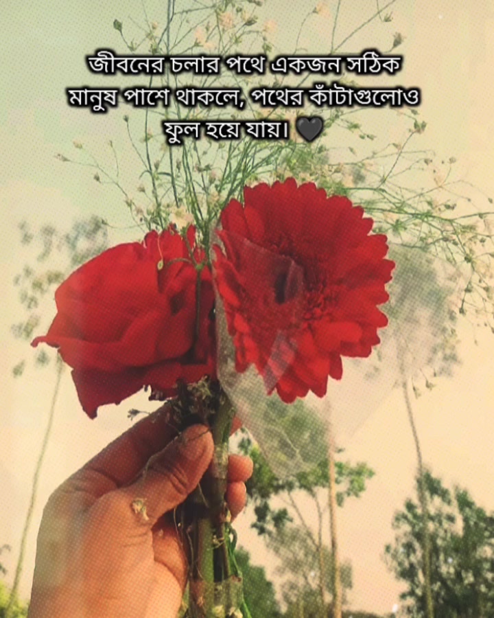 @Sanzida Nahar