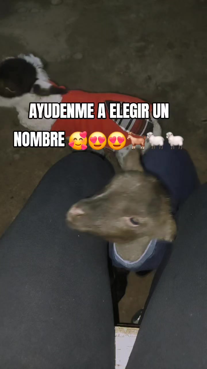 @minombreesNAITHAN 💎