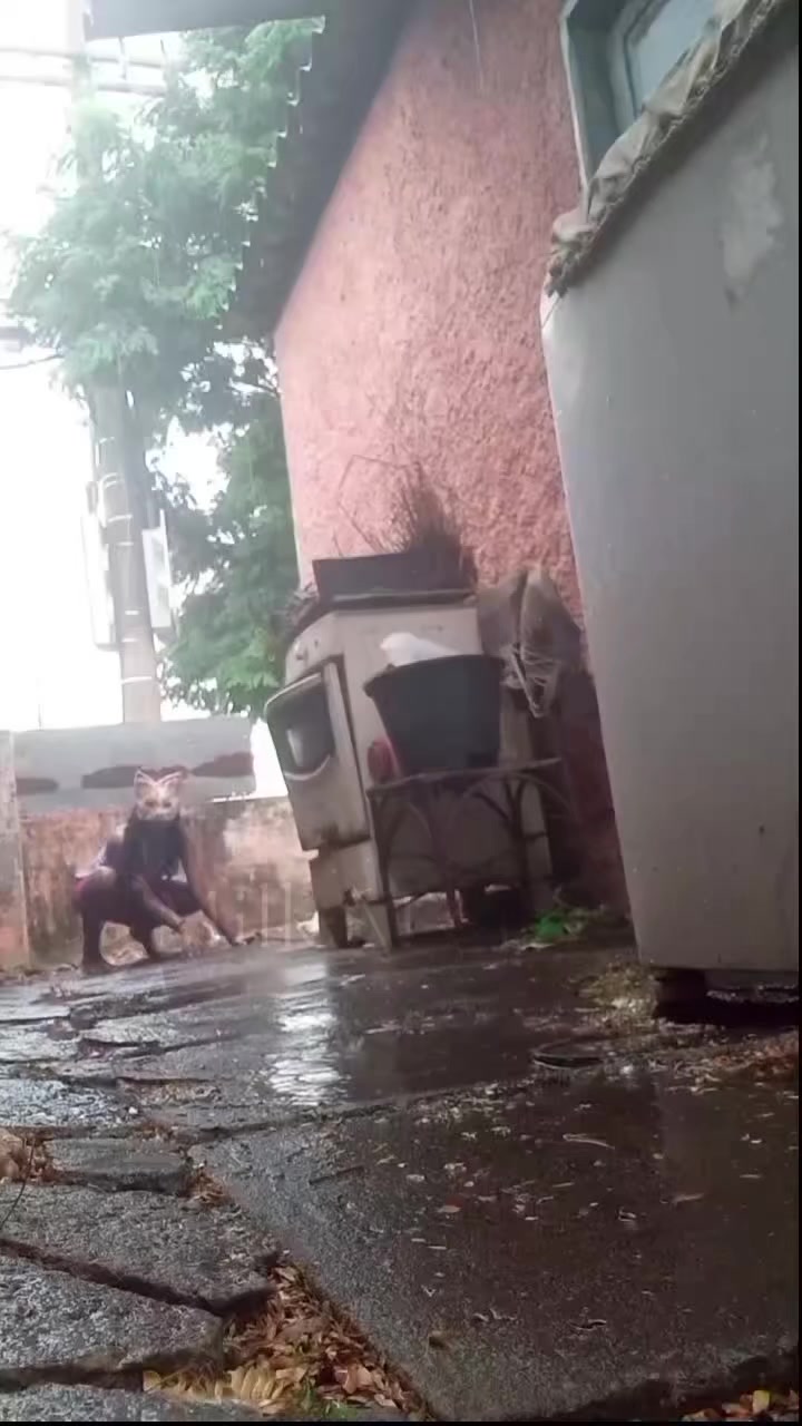 @ᯓ★𝐌♱𝐥𝐤𝐚_𝐒𝐭𝐚𝐫𝐬𓆈🍃