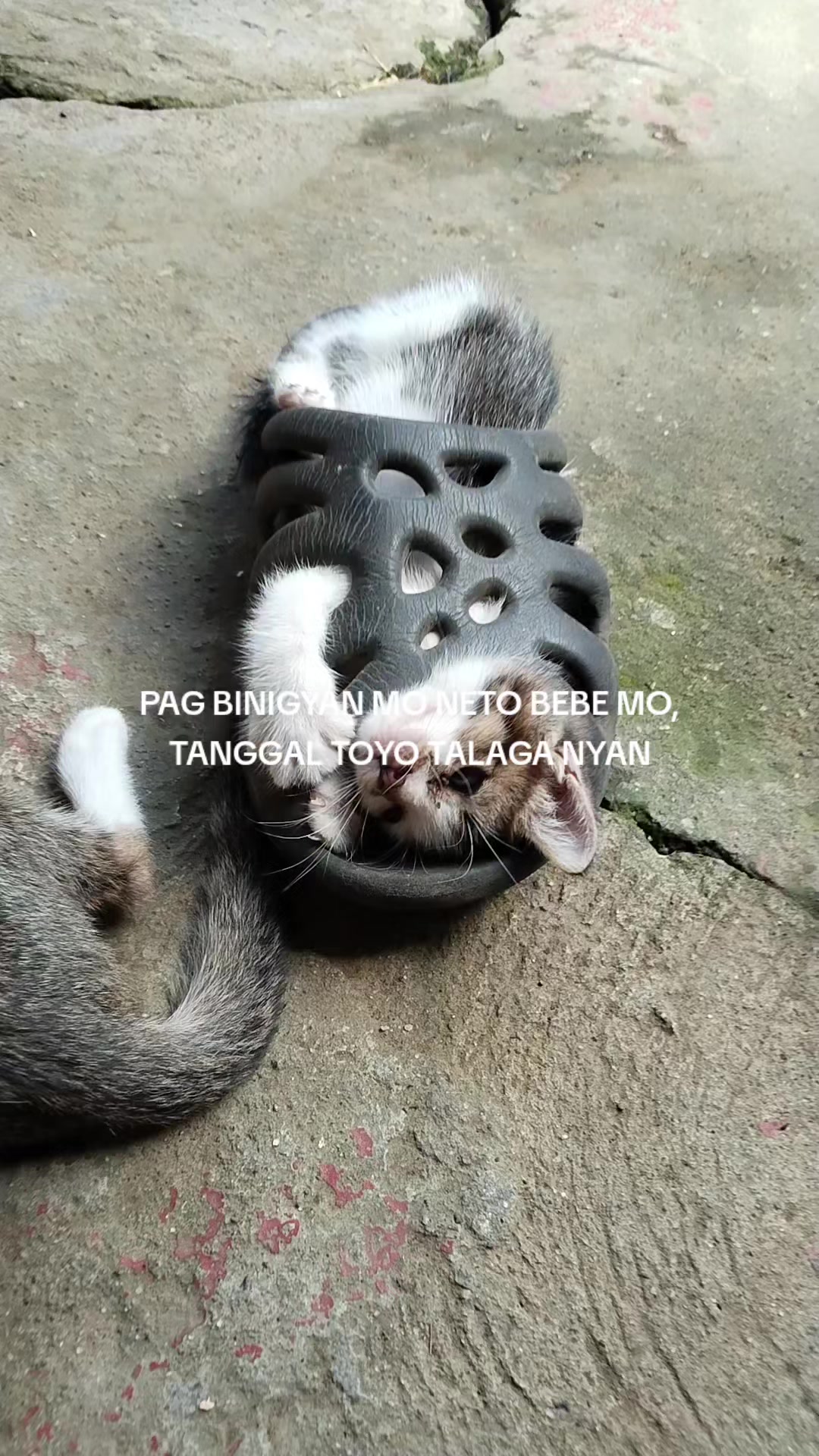 @mommy jhones