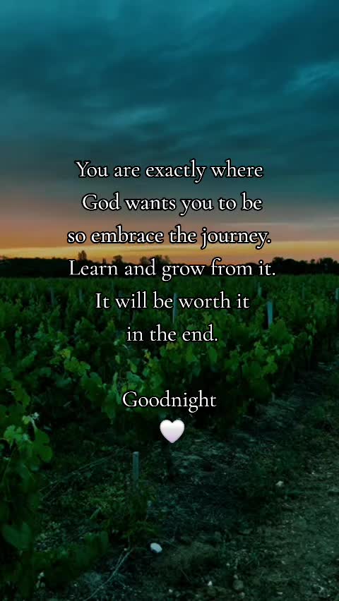 @TDawg47✝️