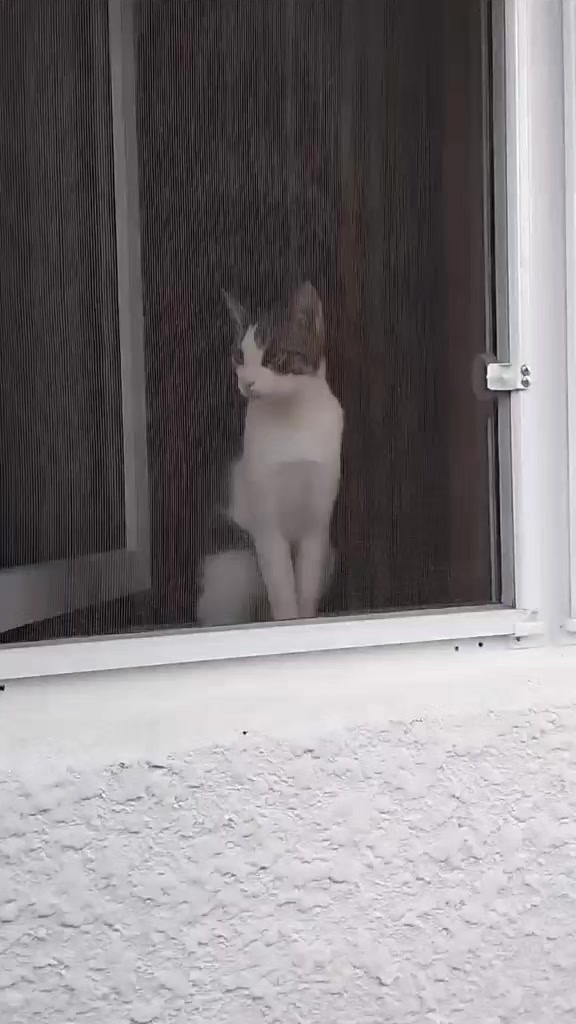 @miniş