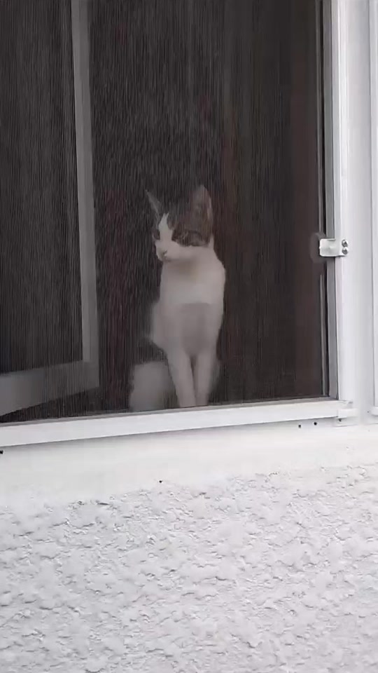 @miniş