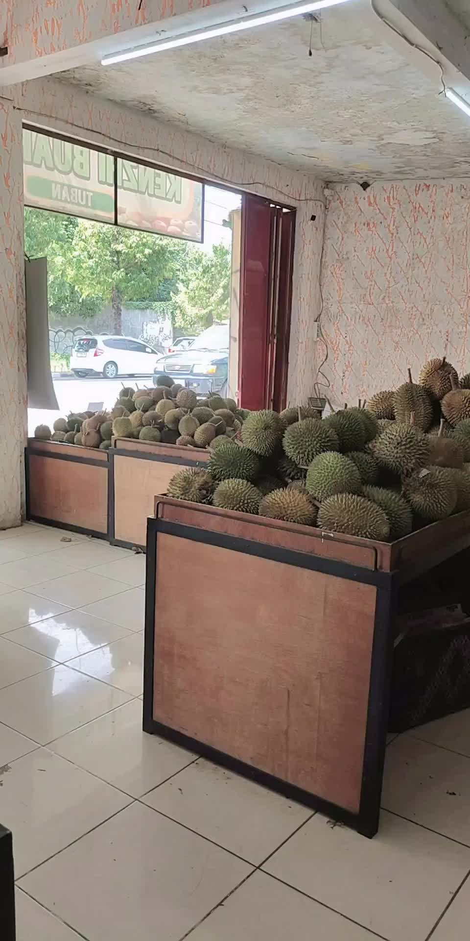 @Kenzhi Durian Tuban