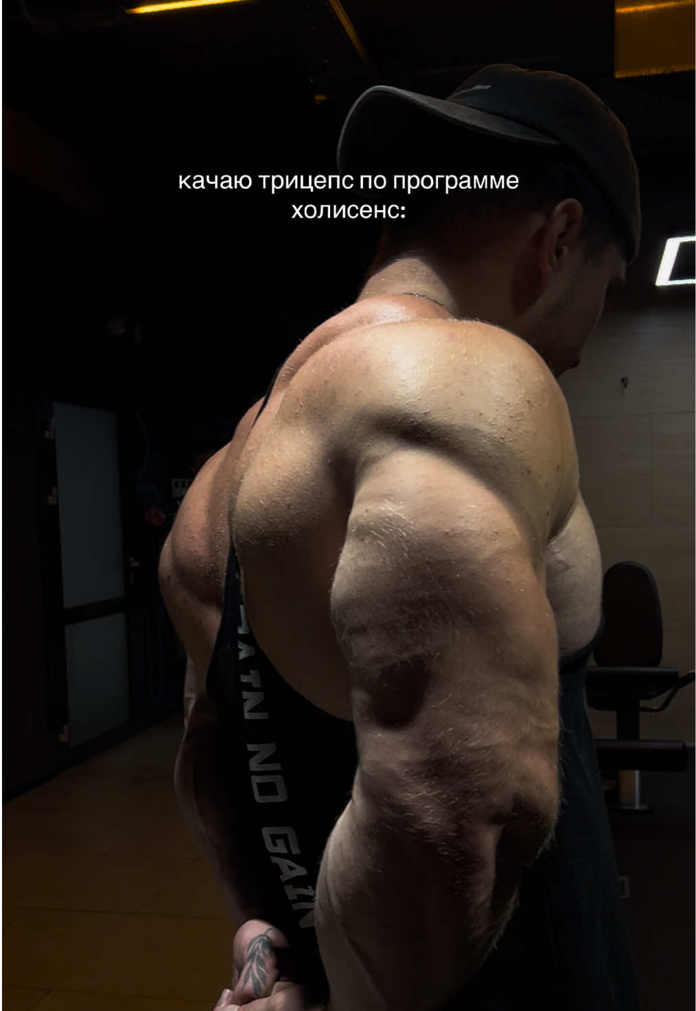 @тгк:blackcat