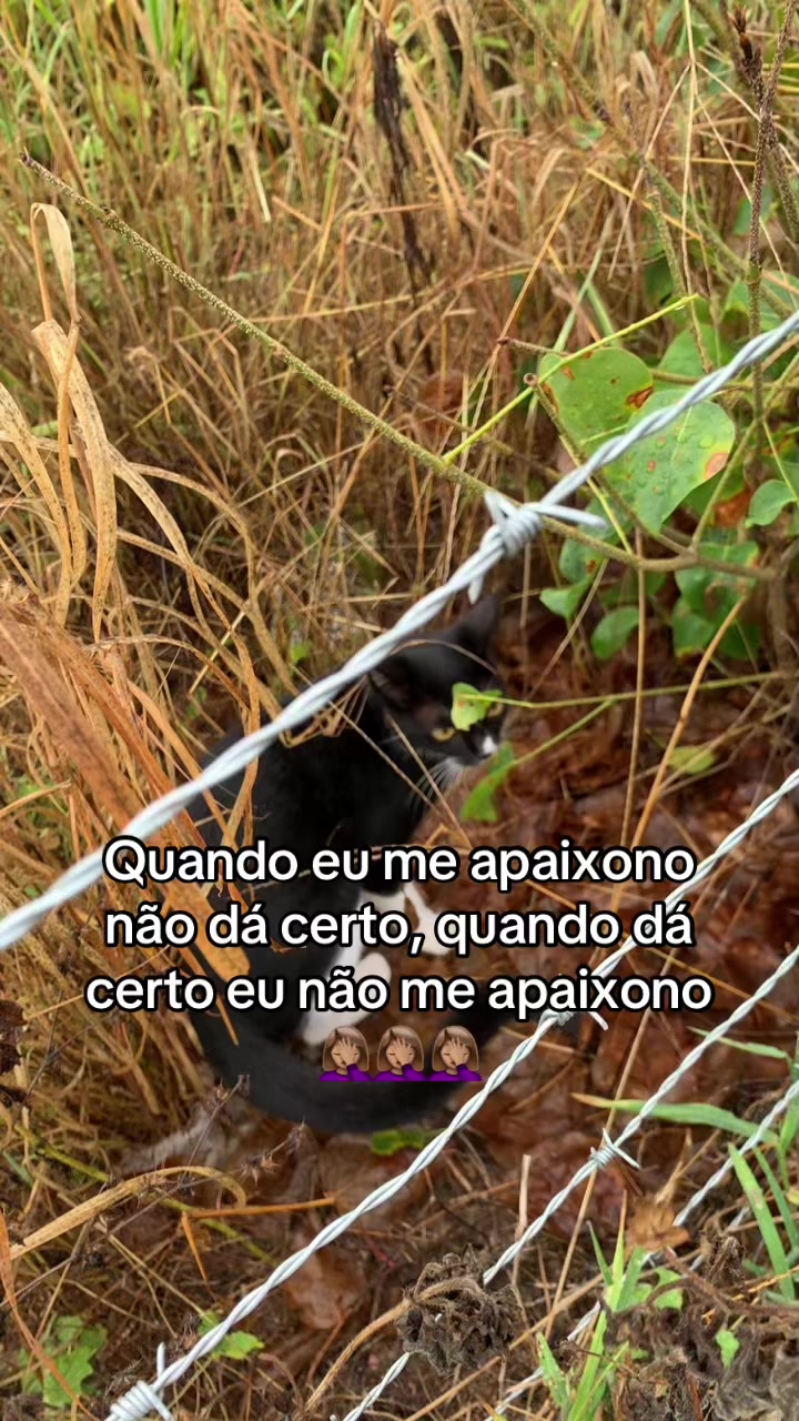 @Nilzeterisada