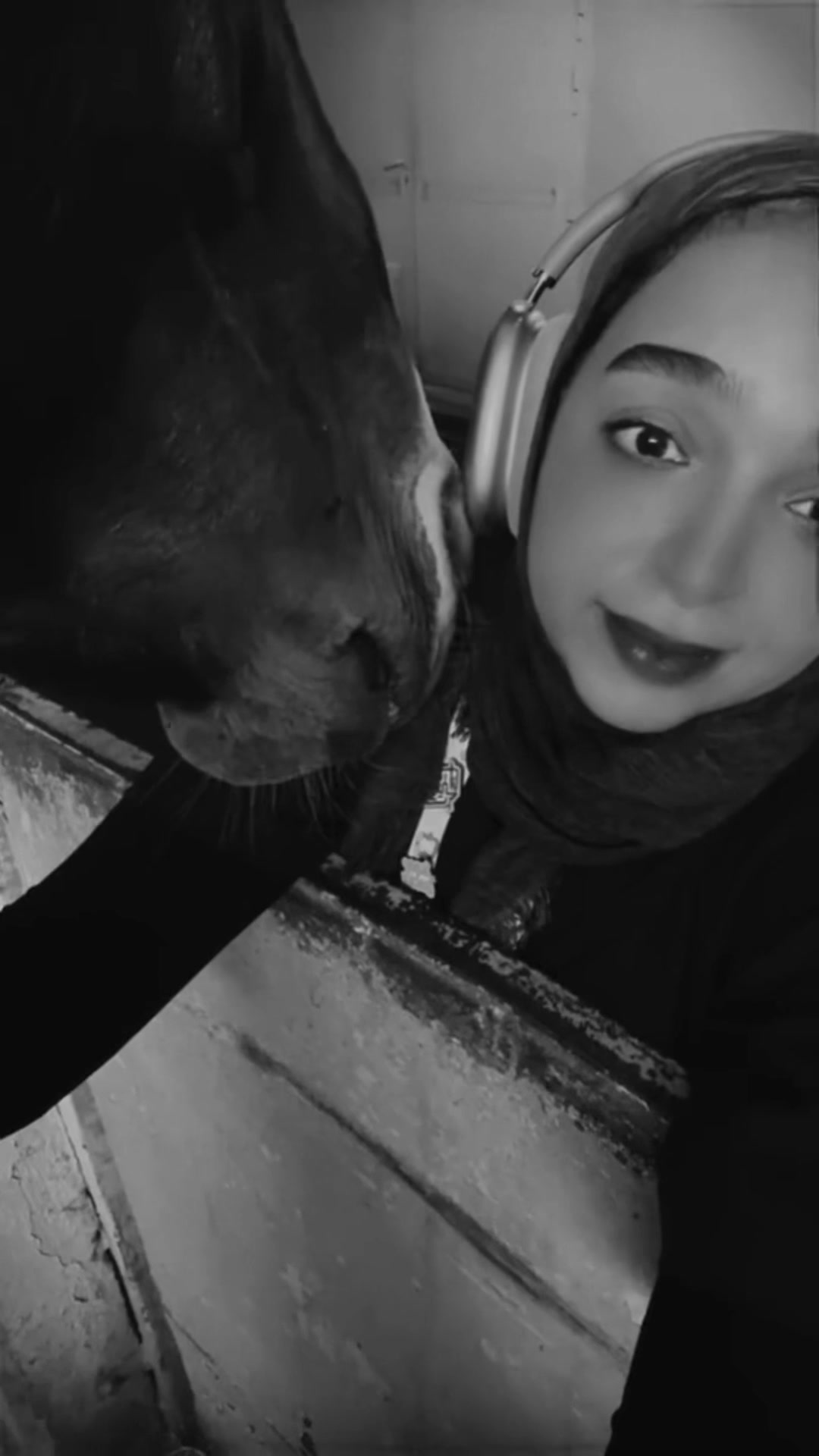 @Shamayel