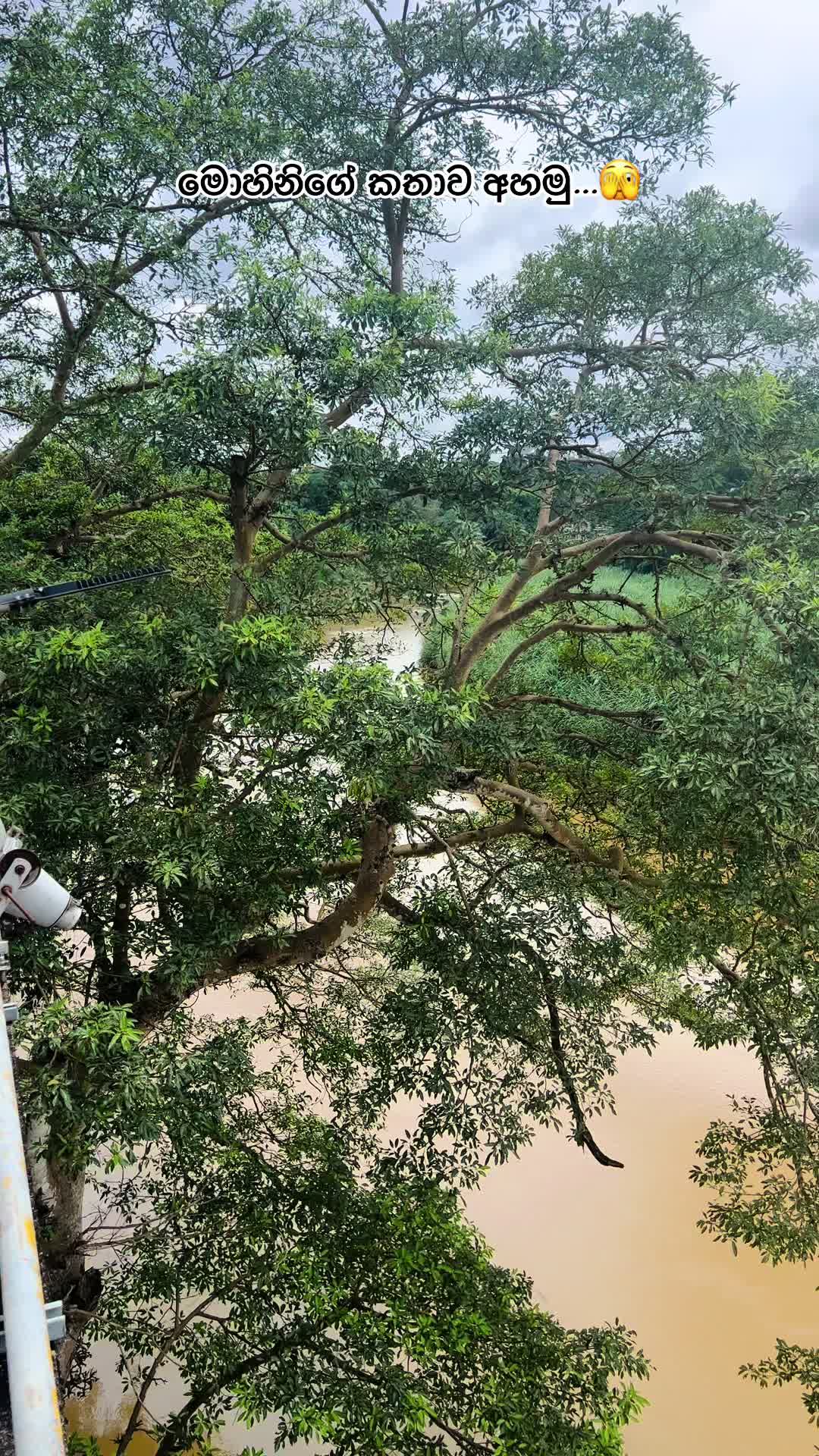 @J C B Boy || ප්රසා 🚜