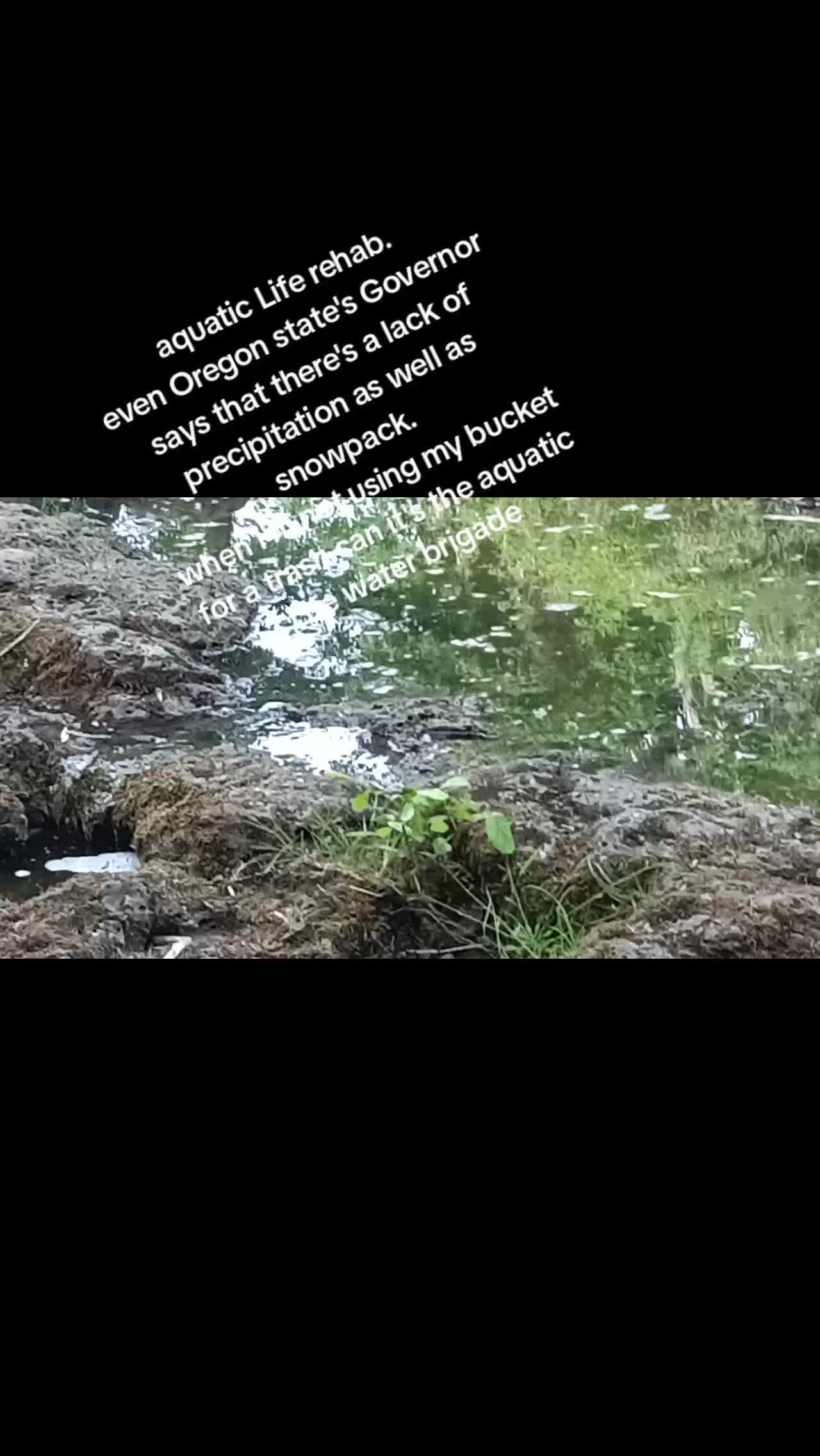 @Sean.Greiner_Silverton.Or
