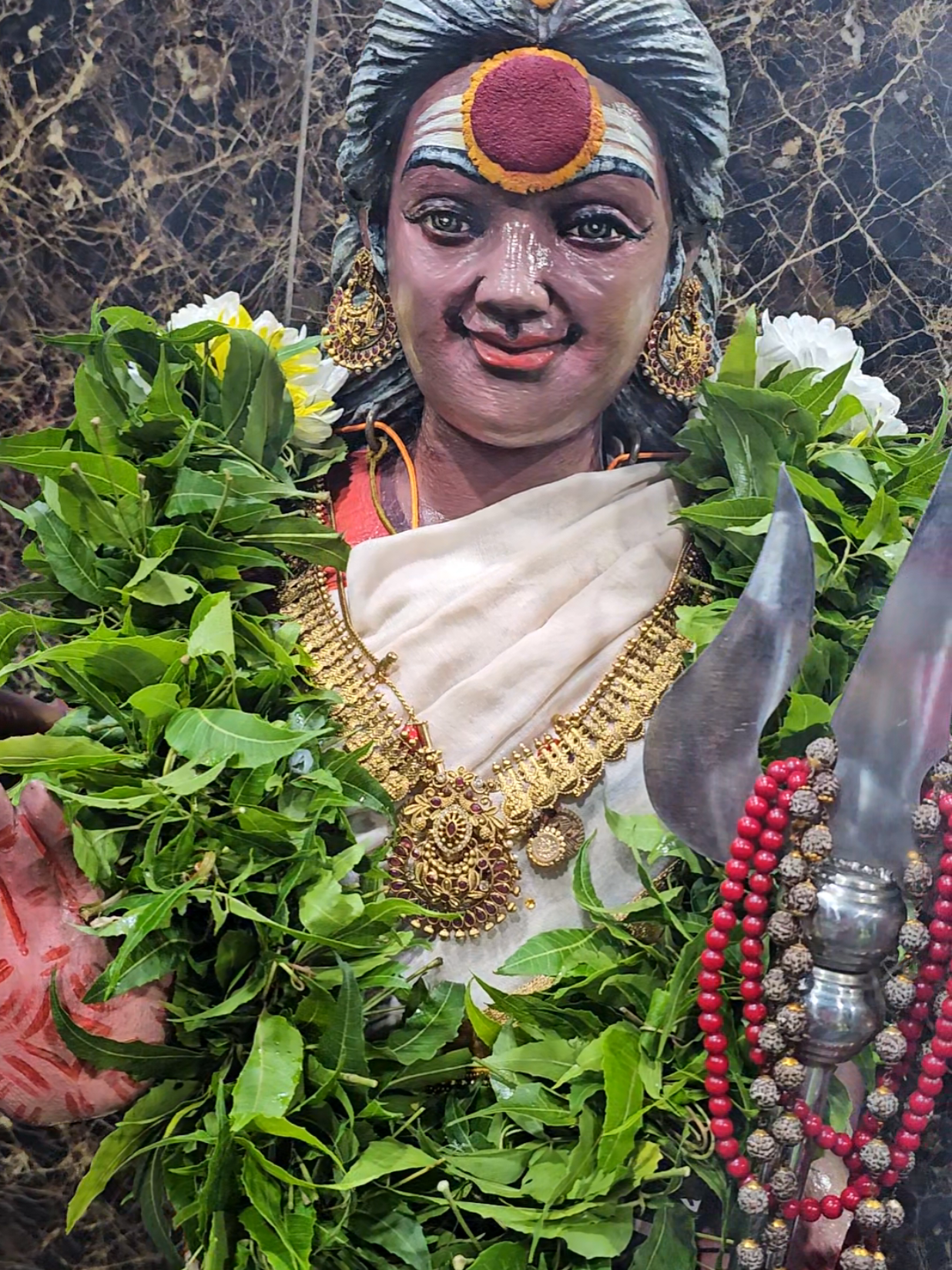 @MayanaMuniappan