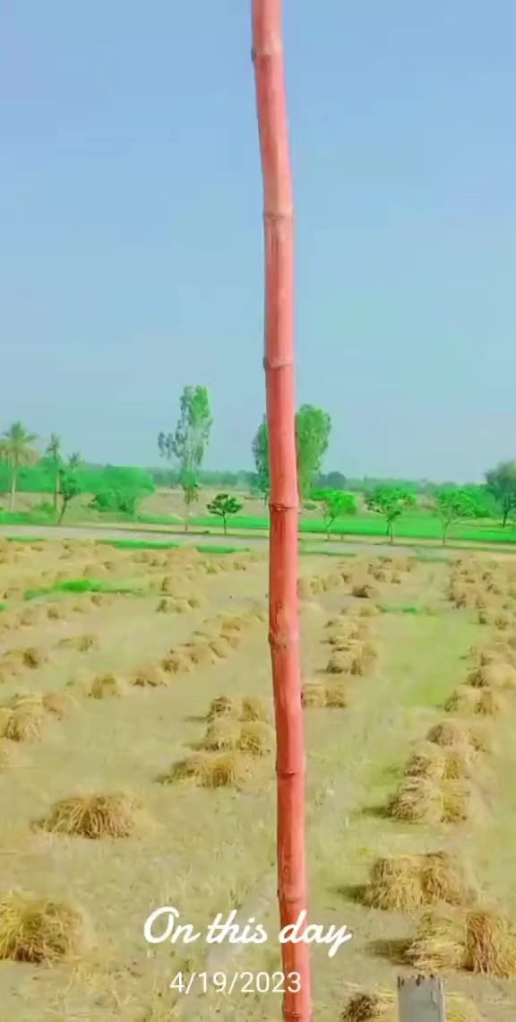@مطلبی یار