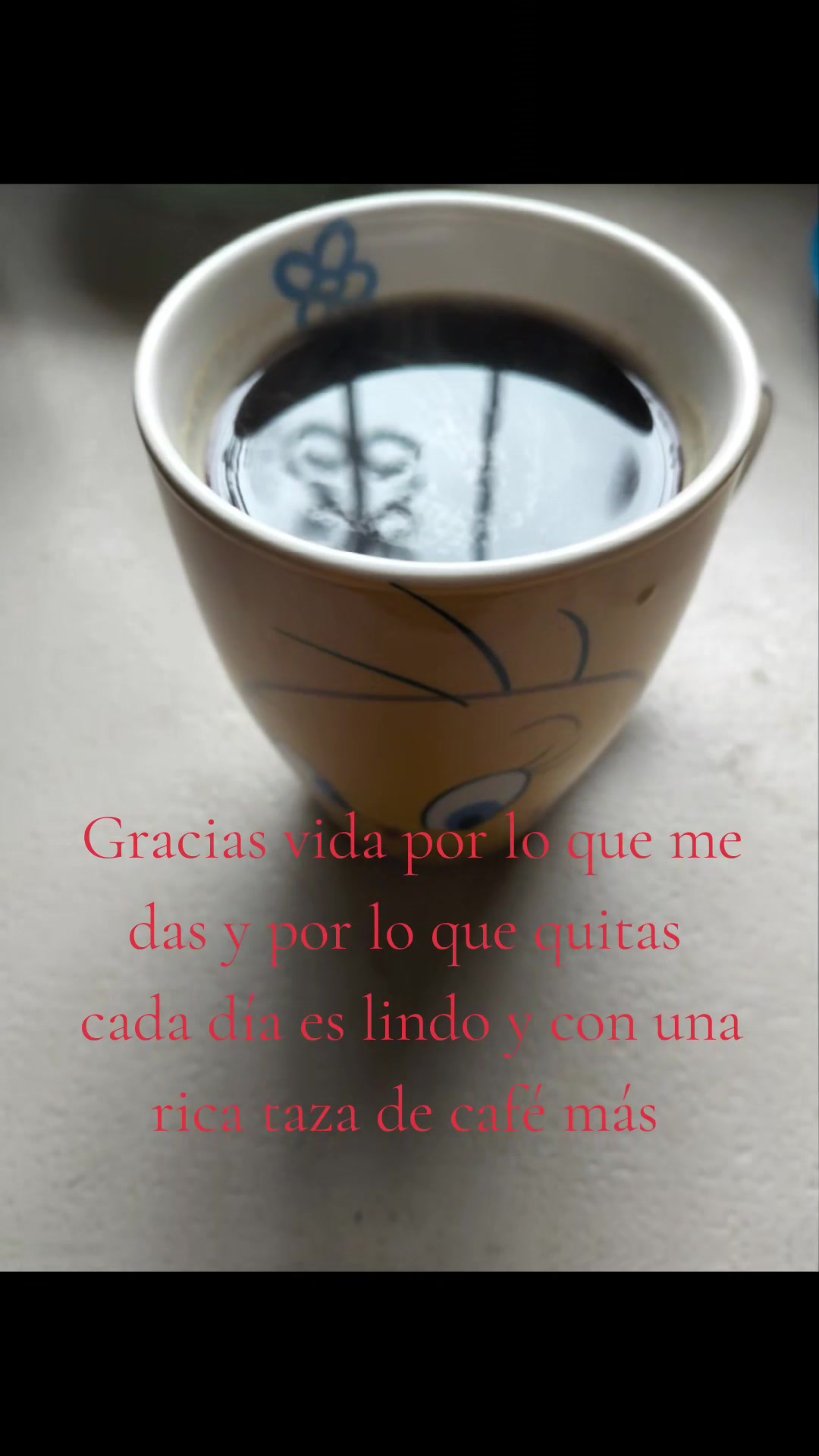 @@amomivida