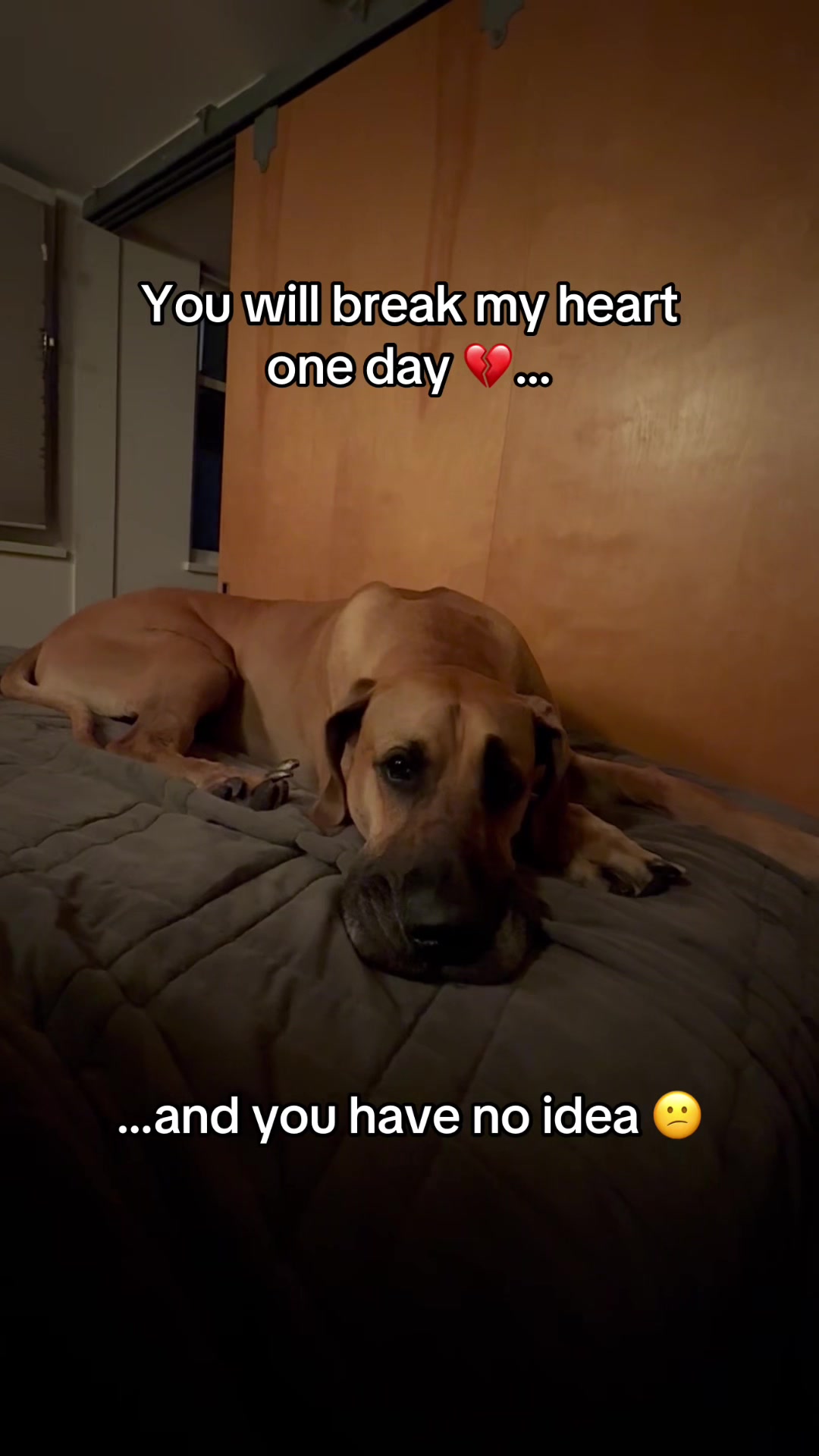 @Roman the Great Dane