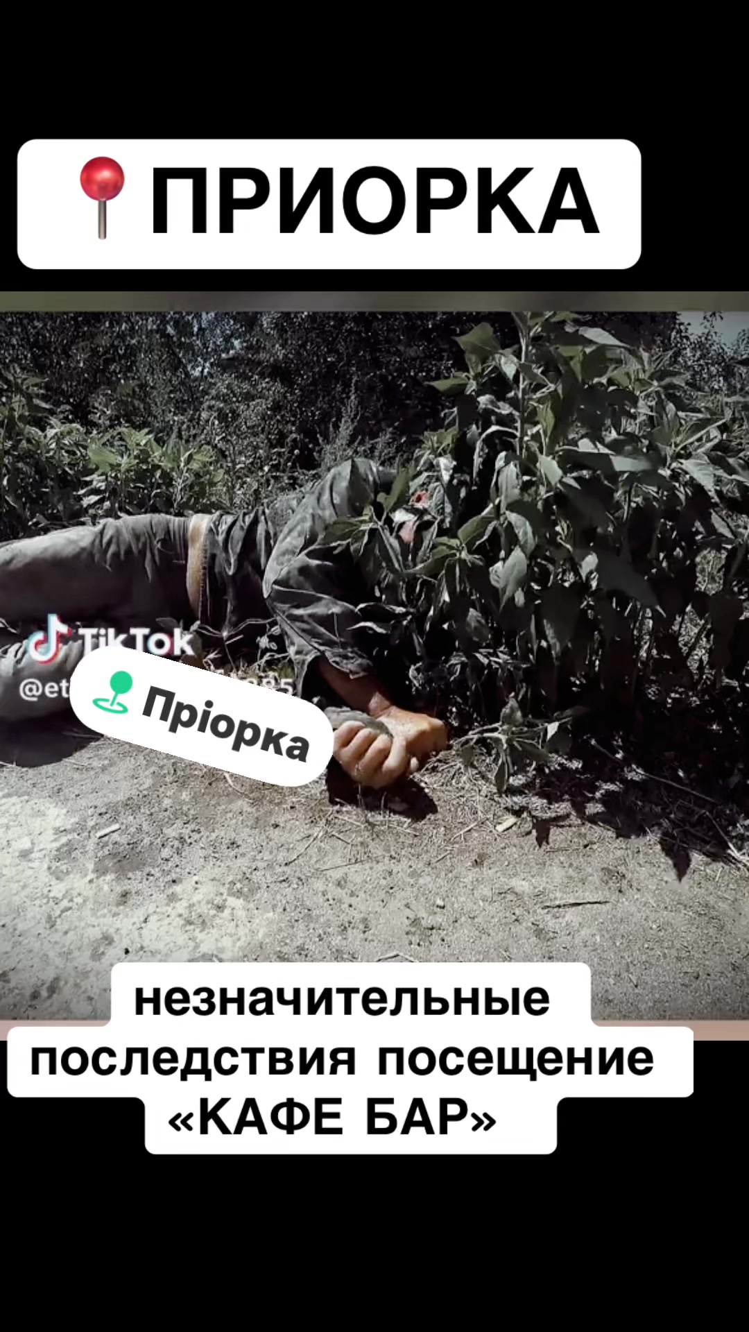 @priorka.baze