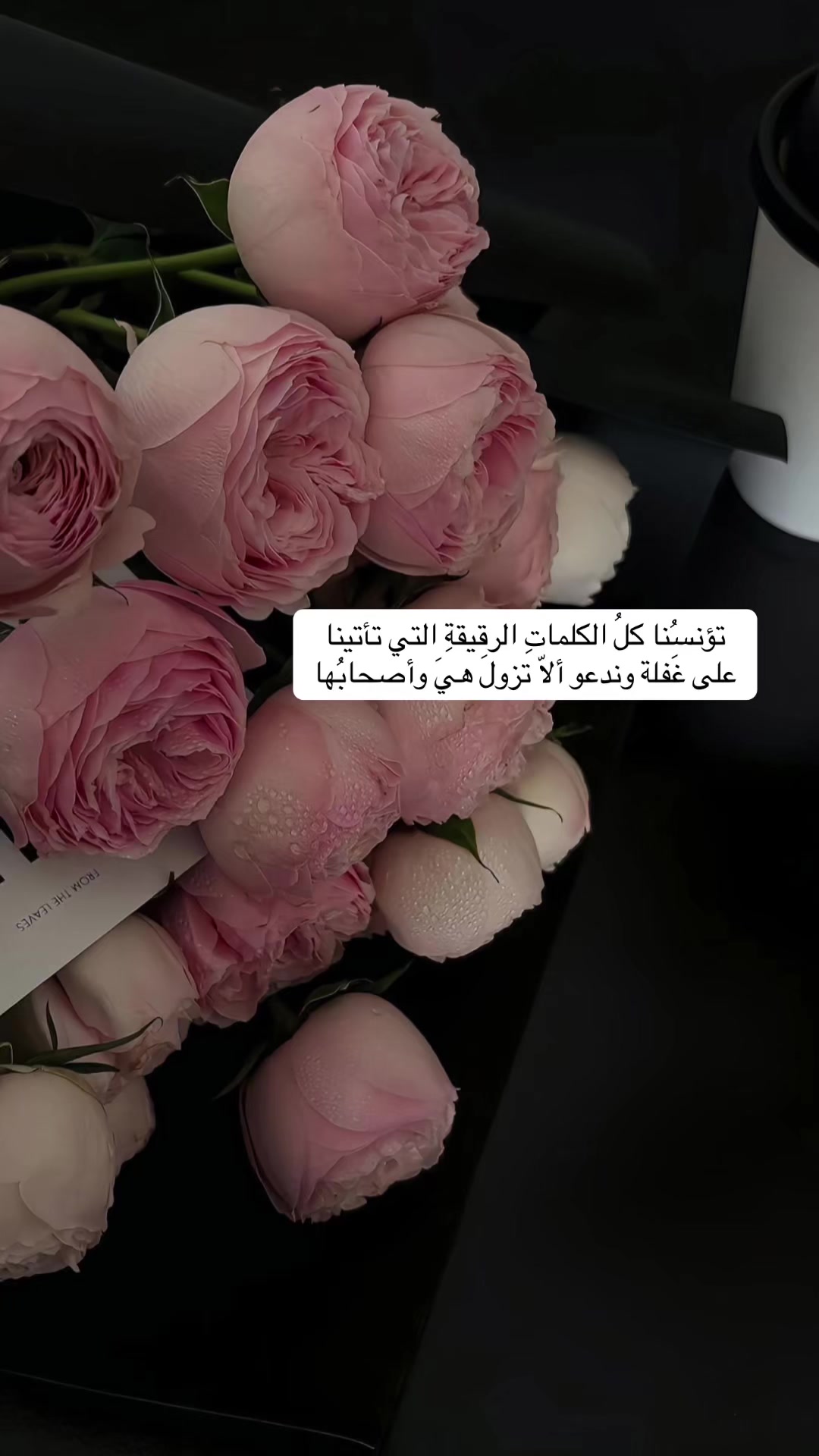 @خواطر العتيبي 👑