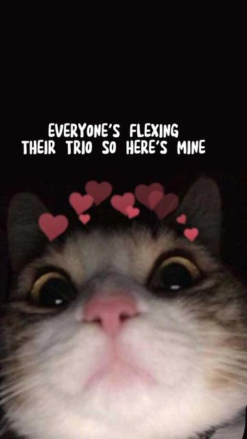 @๐ โปโโโโนโบโ โธโฝโพโโพโโถโฝ ๐