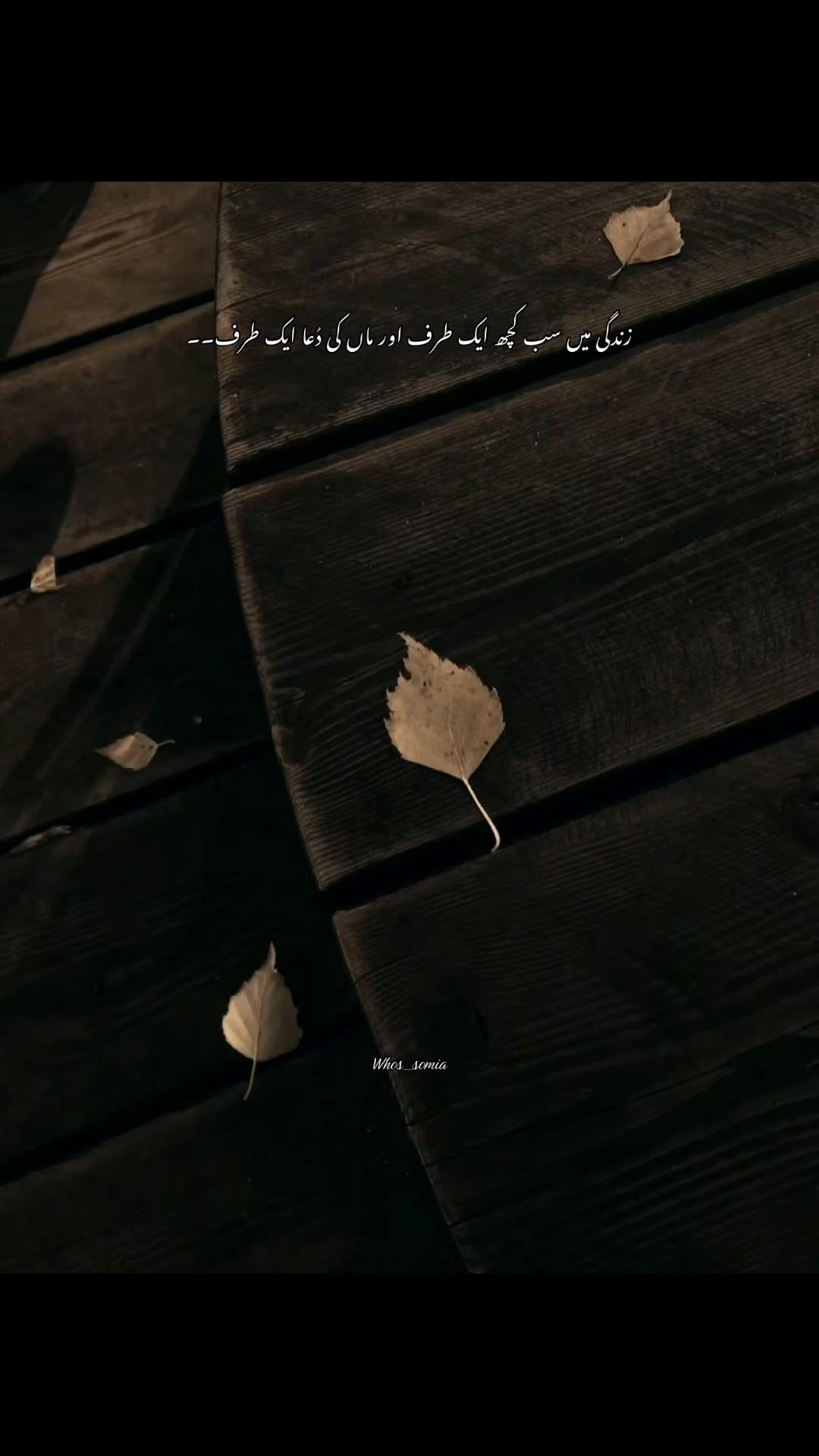 @سومیا🕊️