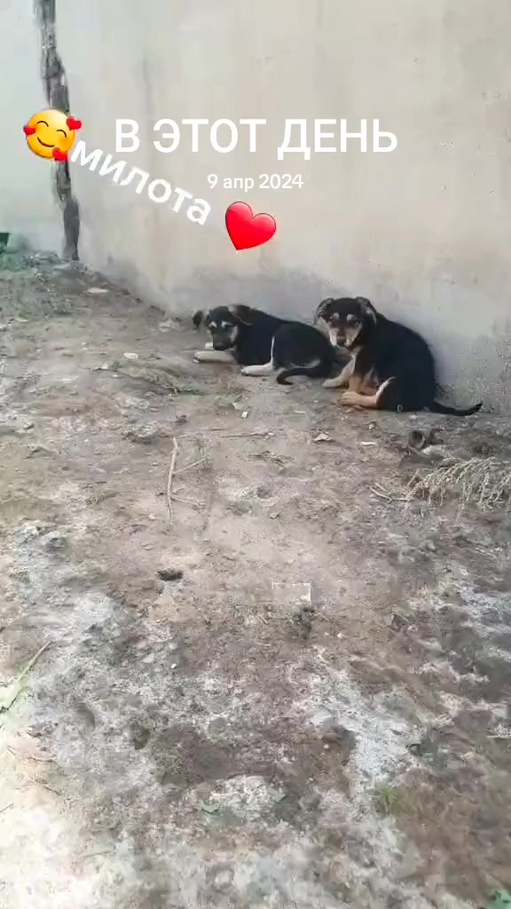 @🇷🇺 Russkiy Kazakh🇰🇿