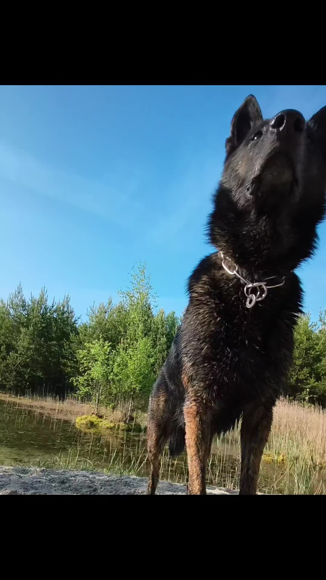 @Anna & Neo 🖤🐾