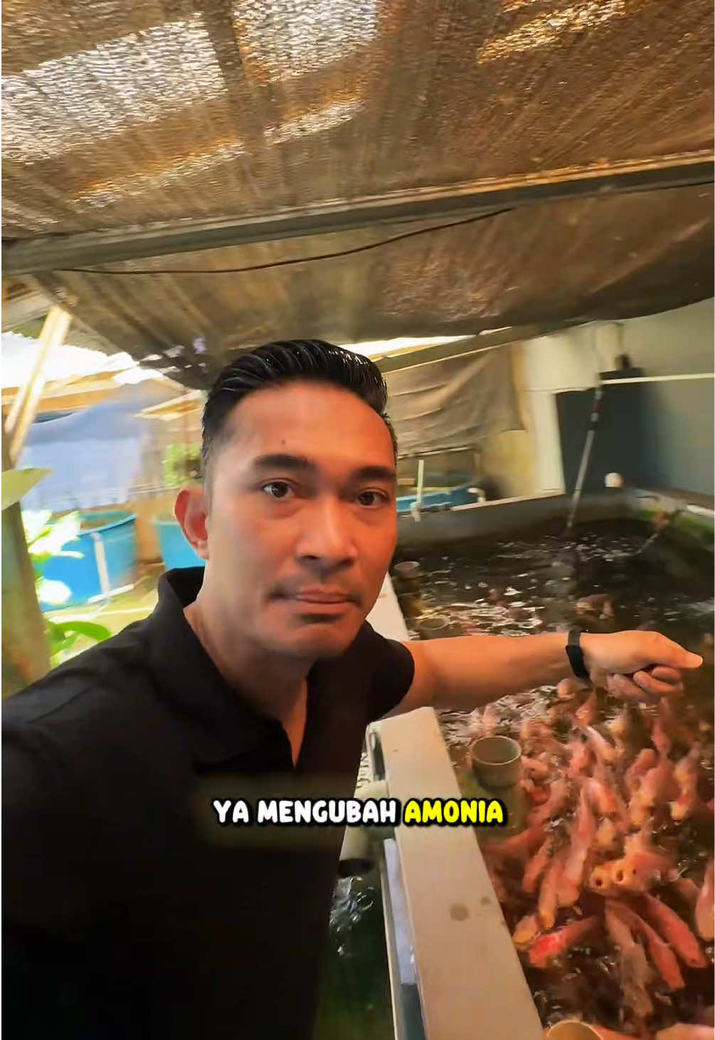 @NilaKu ID