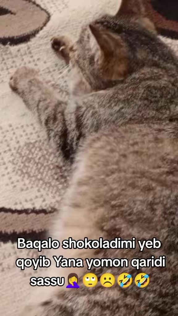 @🍫🇹🇷 PARI 🖤 🇹🇷🇹🇷