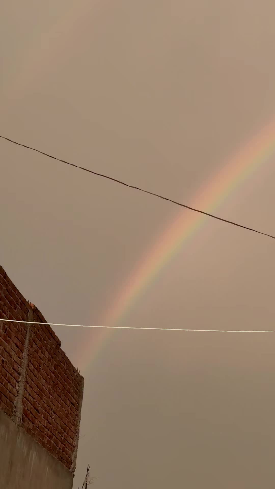 @Zahidarmanptitiger🥰