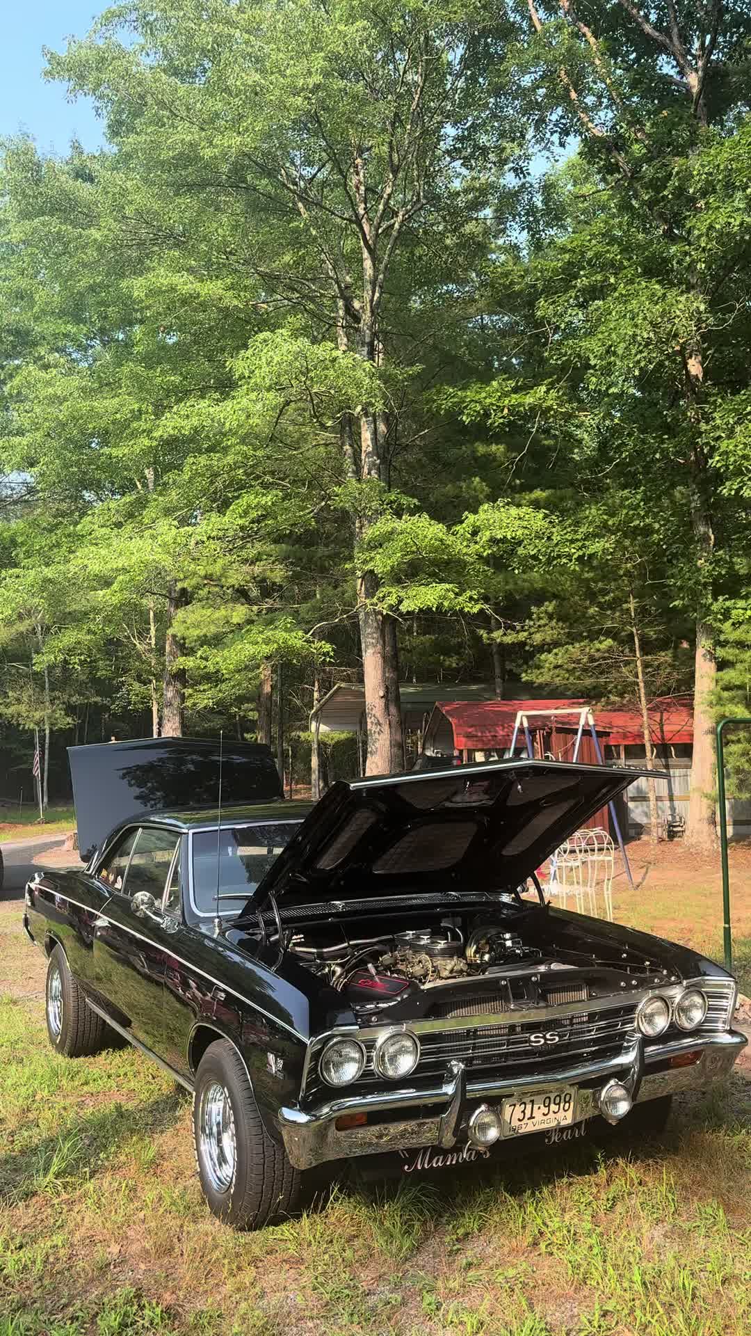 @nbs.tylerv