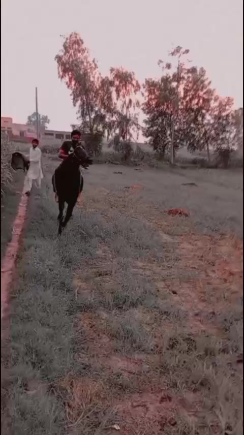 @Ali akbar Dogar