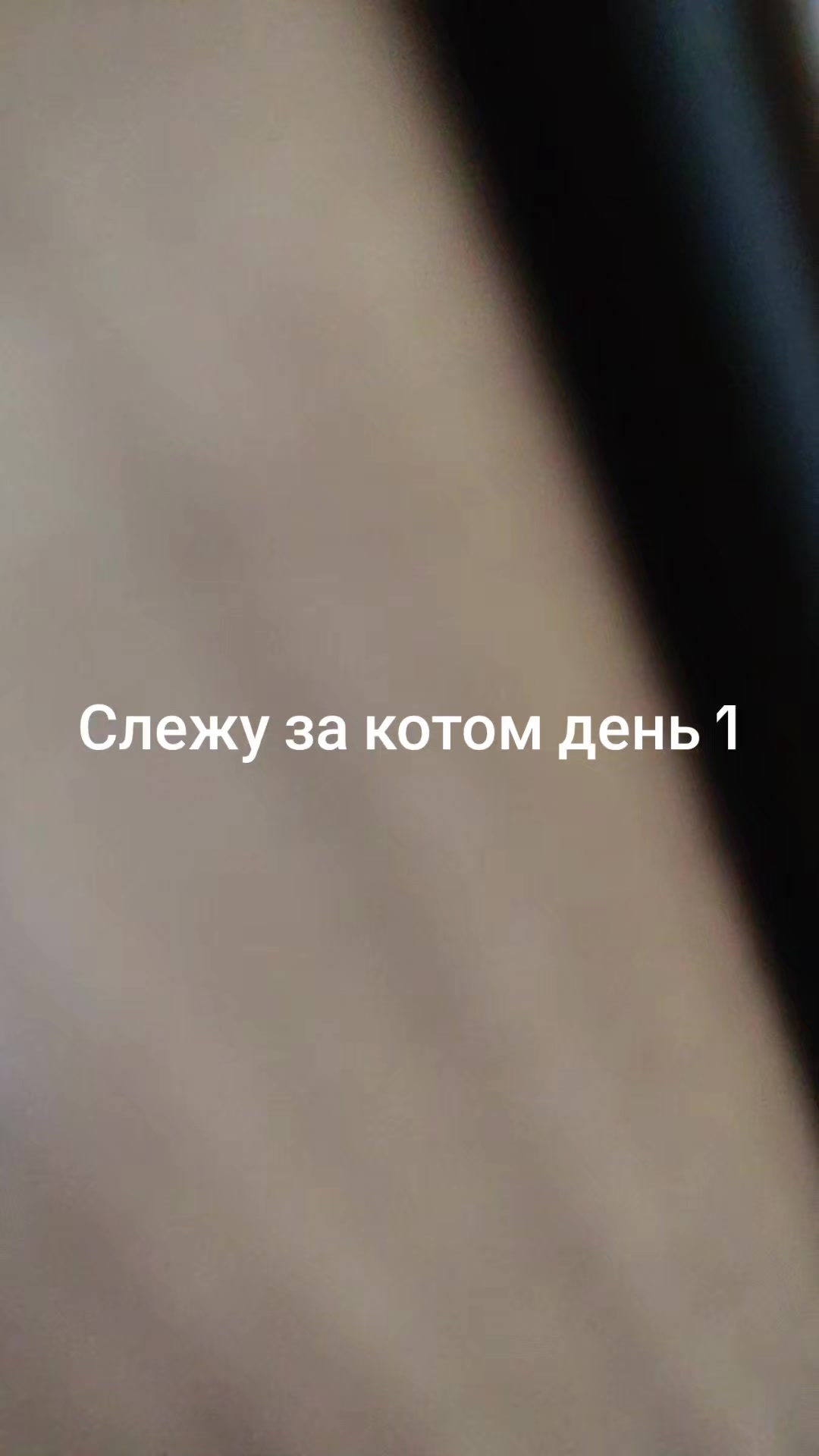 @CoolCat20146423
