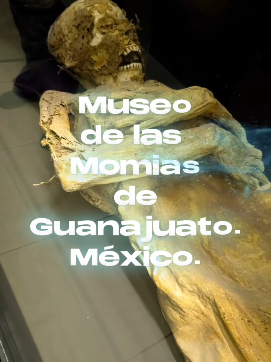 @Depatadeperro