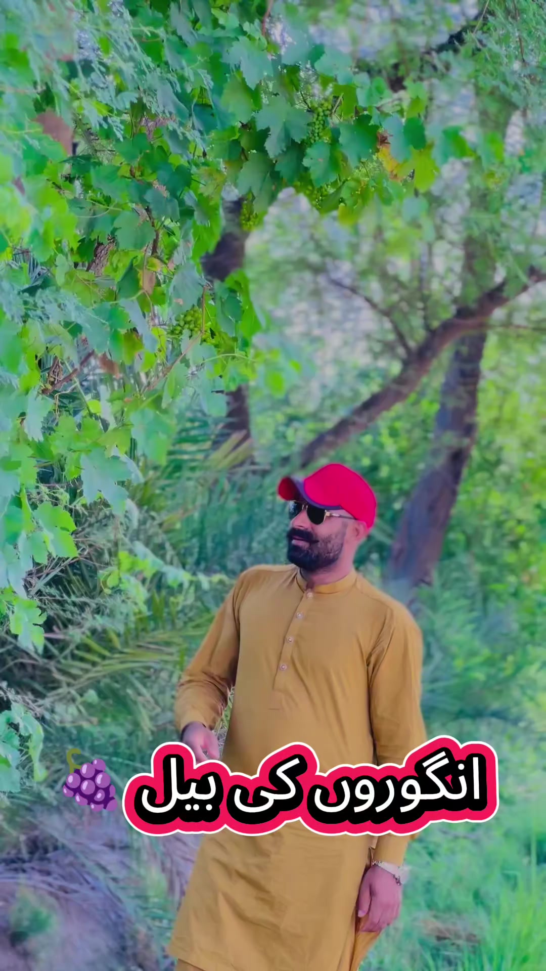@Shan Rana