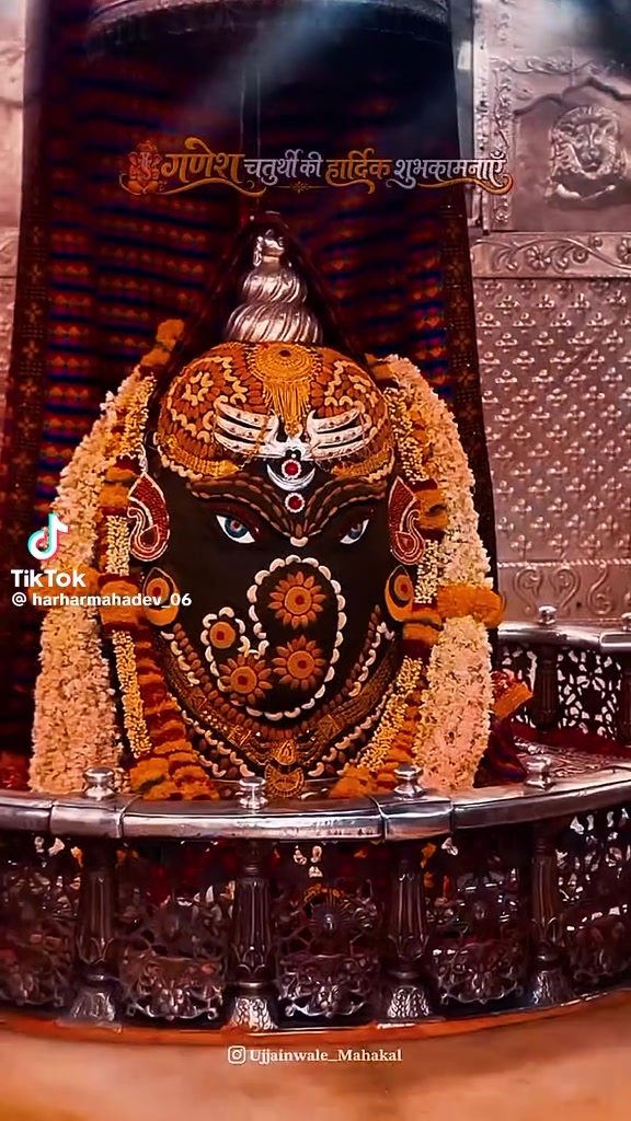 @bijayyadav6949