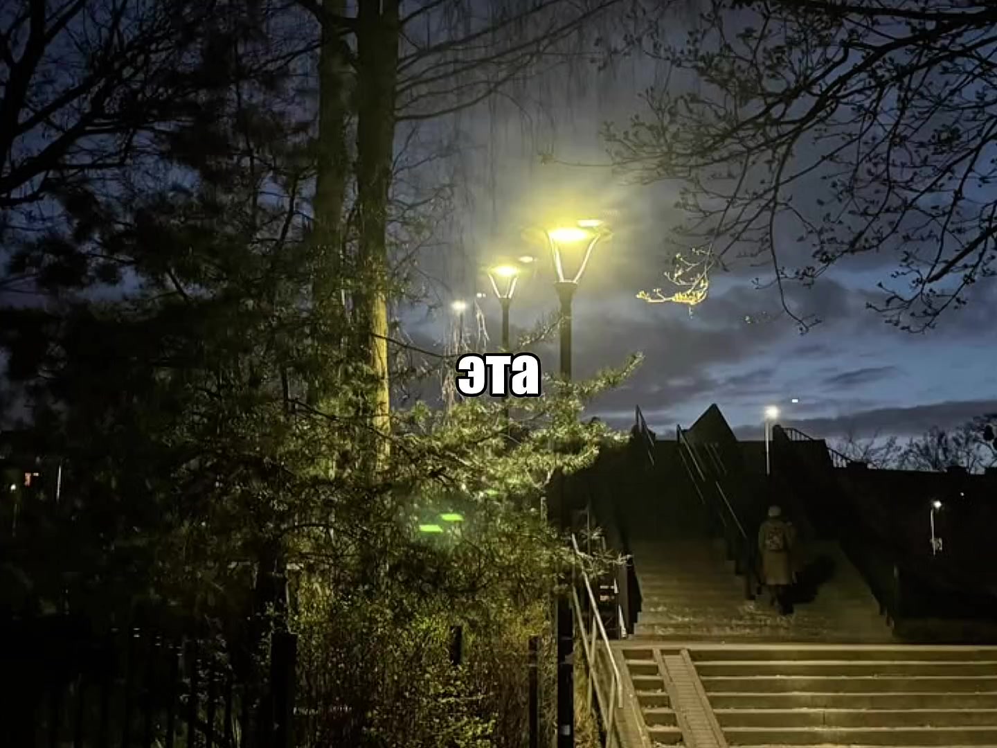 @𝐓𝐑𝐈𝐁𝐋𝐄𝐗