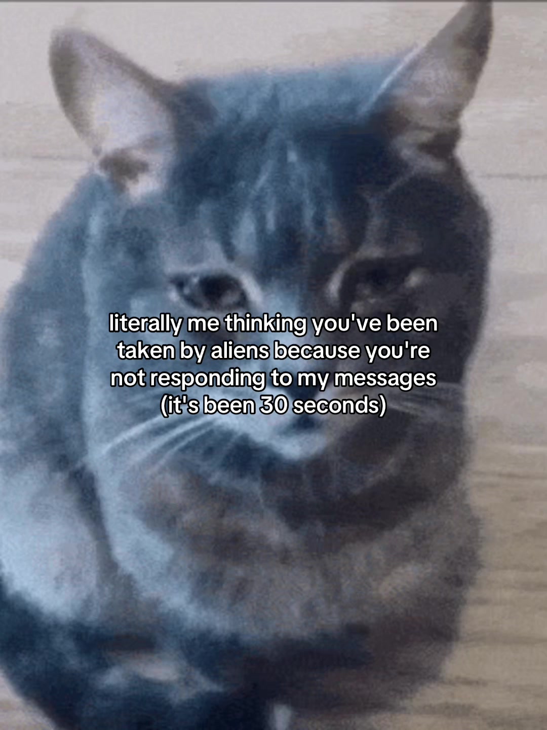 @Alice.cattok