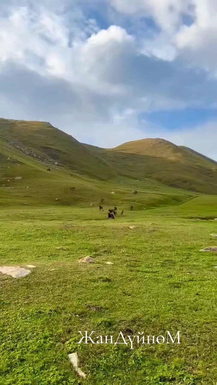 @ЖанДүйнөМ