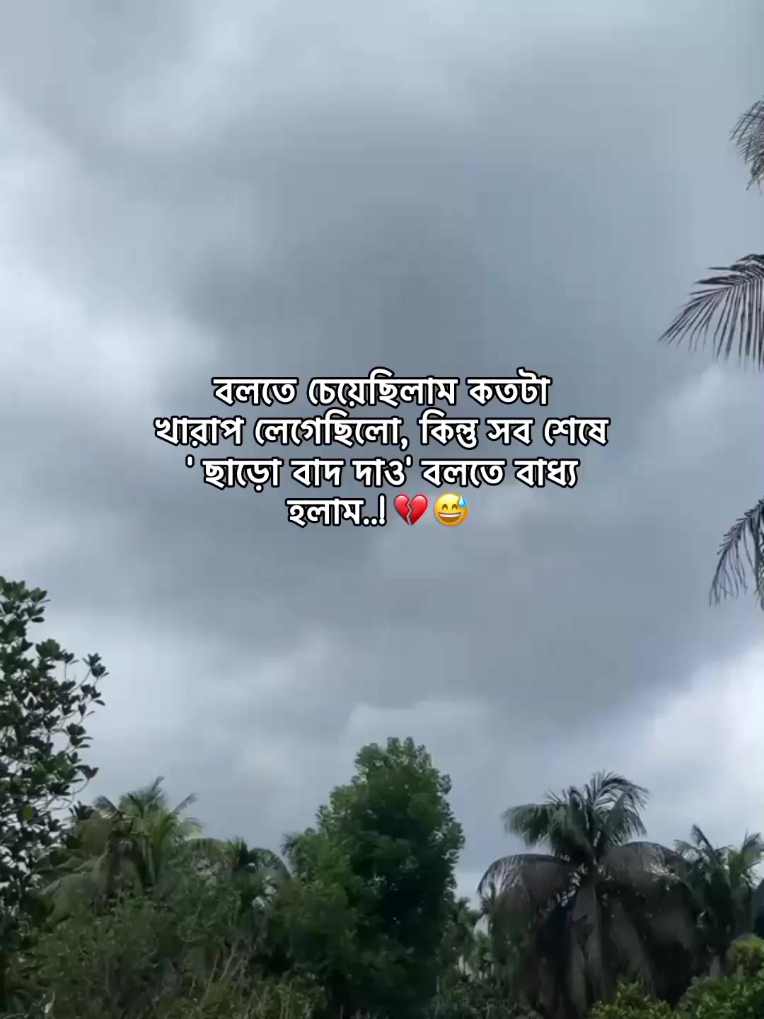 @⁷𝐇𝐚𝐦𝐢𝐝𝐚◡🧃