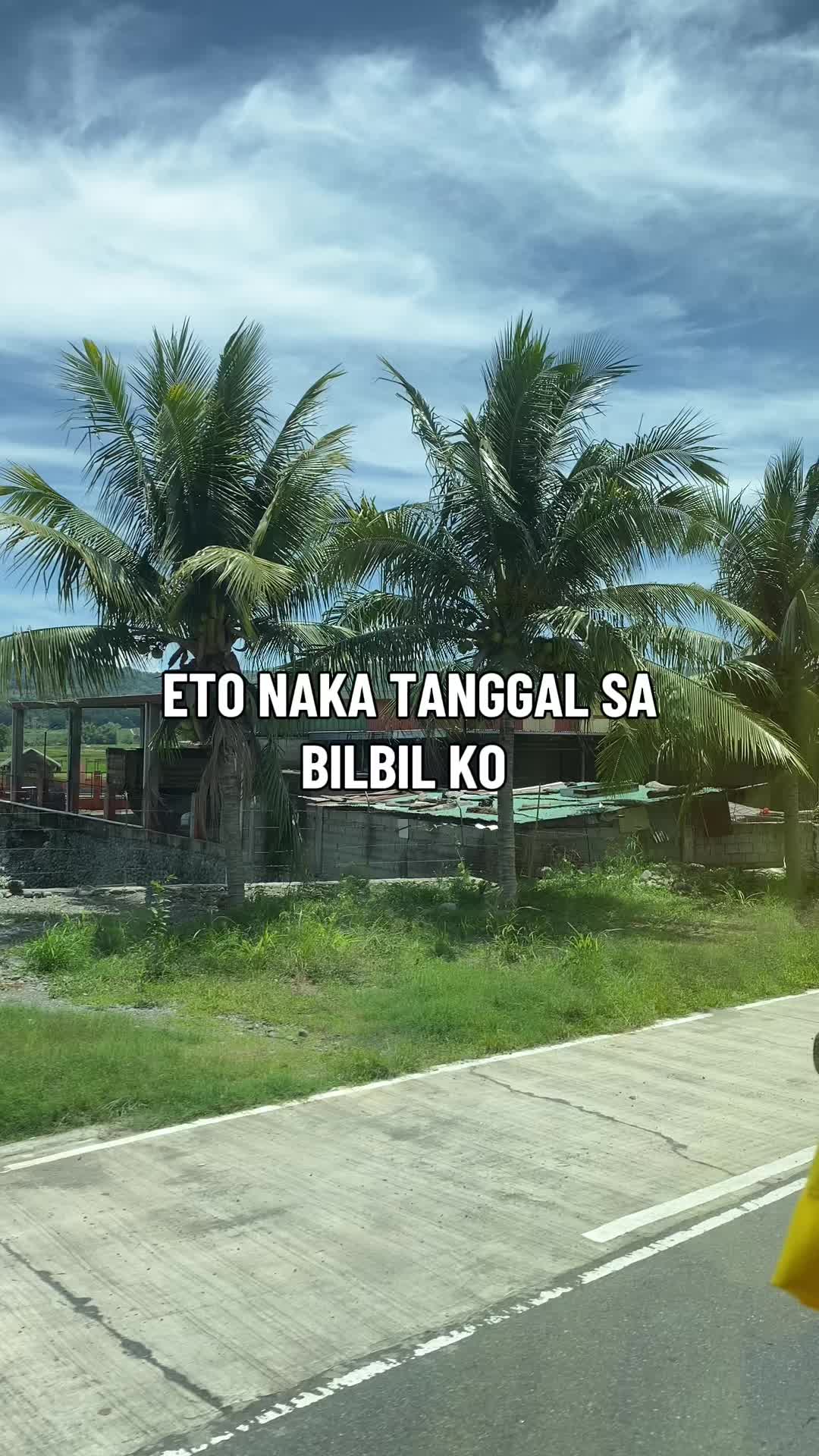 @Janille Paw ๐