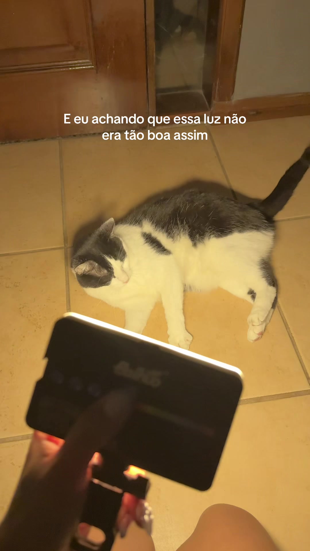 @Mayara Maciel