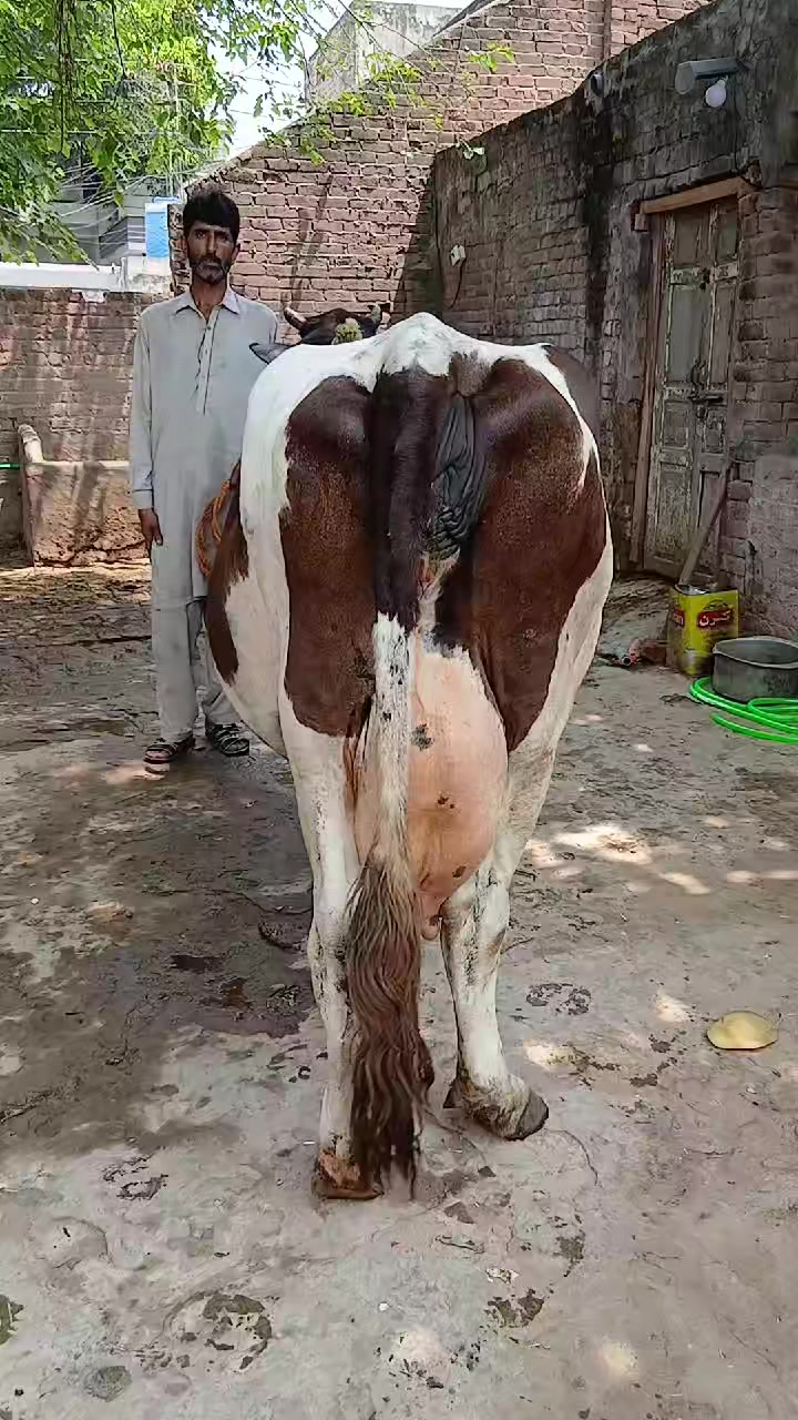 @Farming and Business Ideas