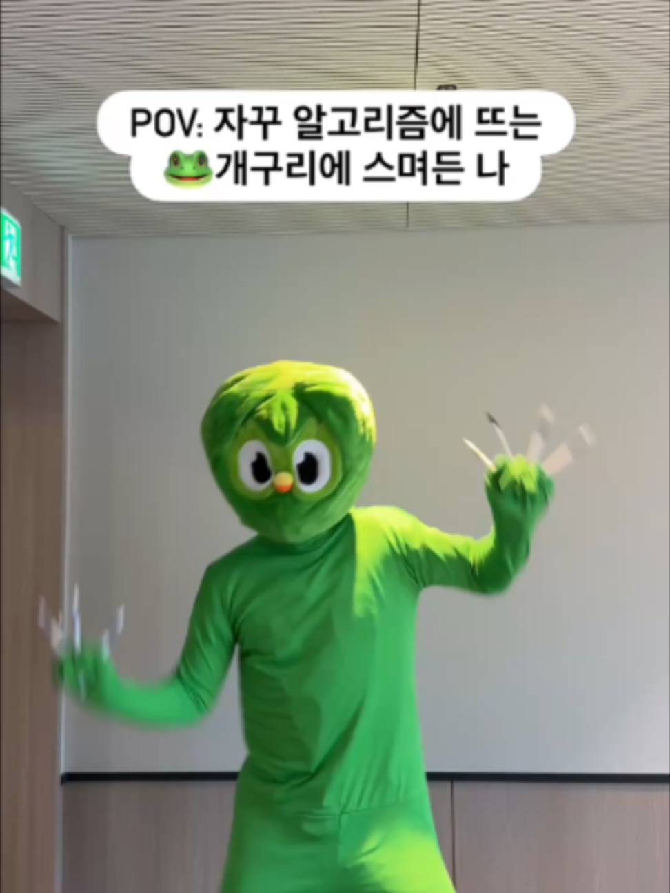 @duolingokorea
