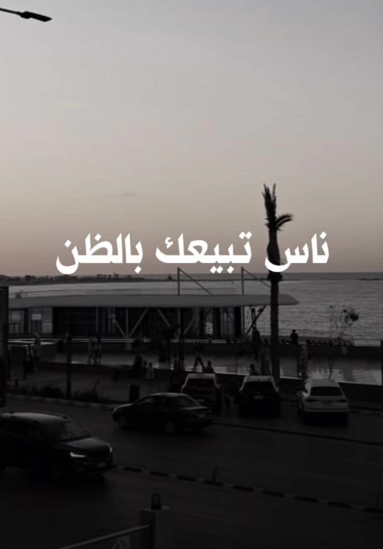 @عـُـلا عــامــر🪽🤎