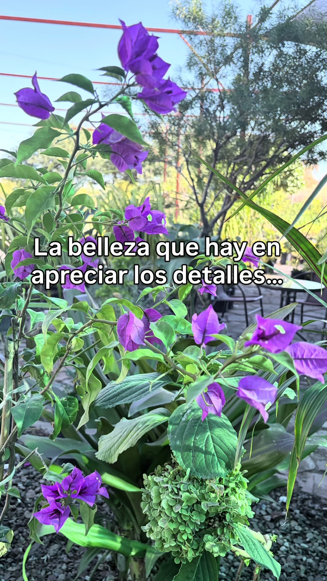 @ParlêtrePsic