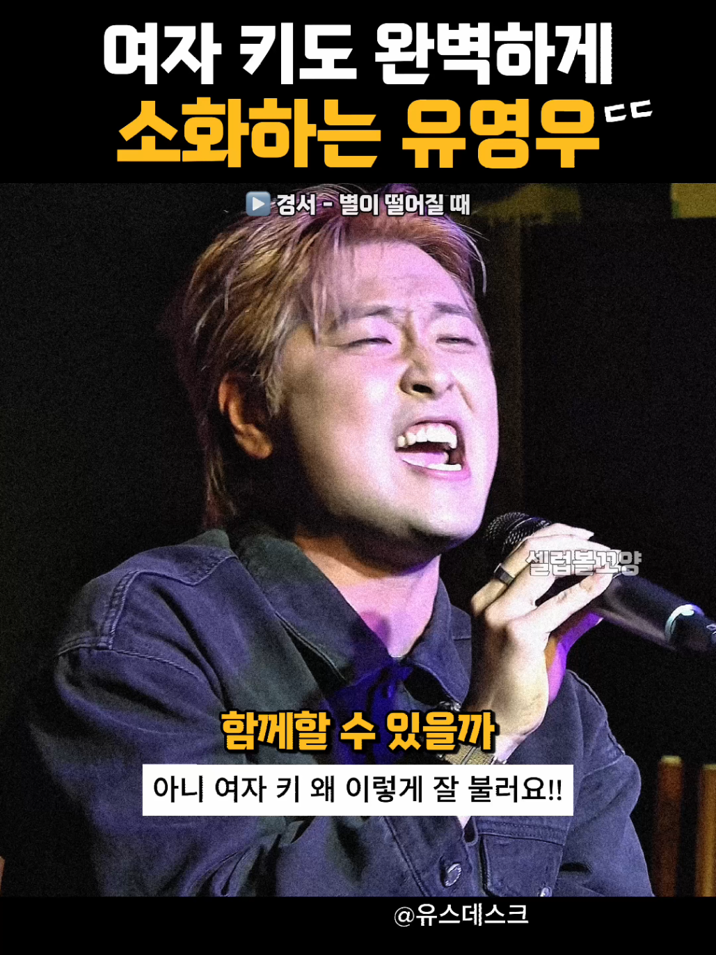 @셀럽볼꼬양